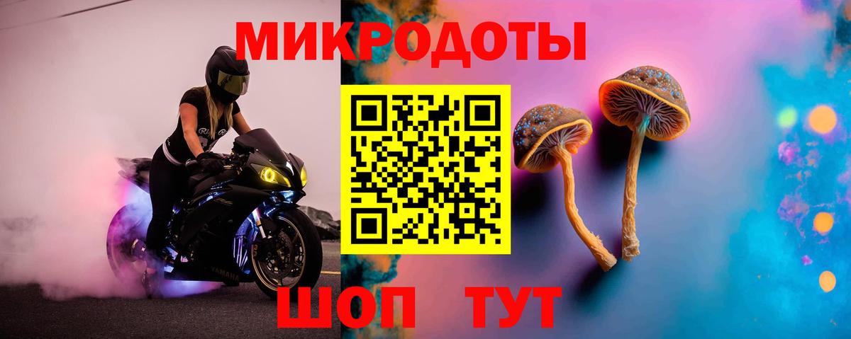 Тосно  Псилоцибиновые грибы MAGIC MUSHROOMS  Вход с VPN 